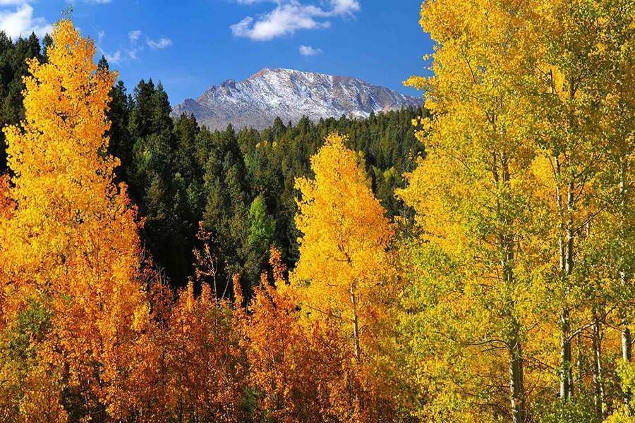 5 Scenic Drives in the Pikes Peak Region