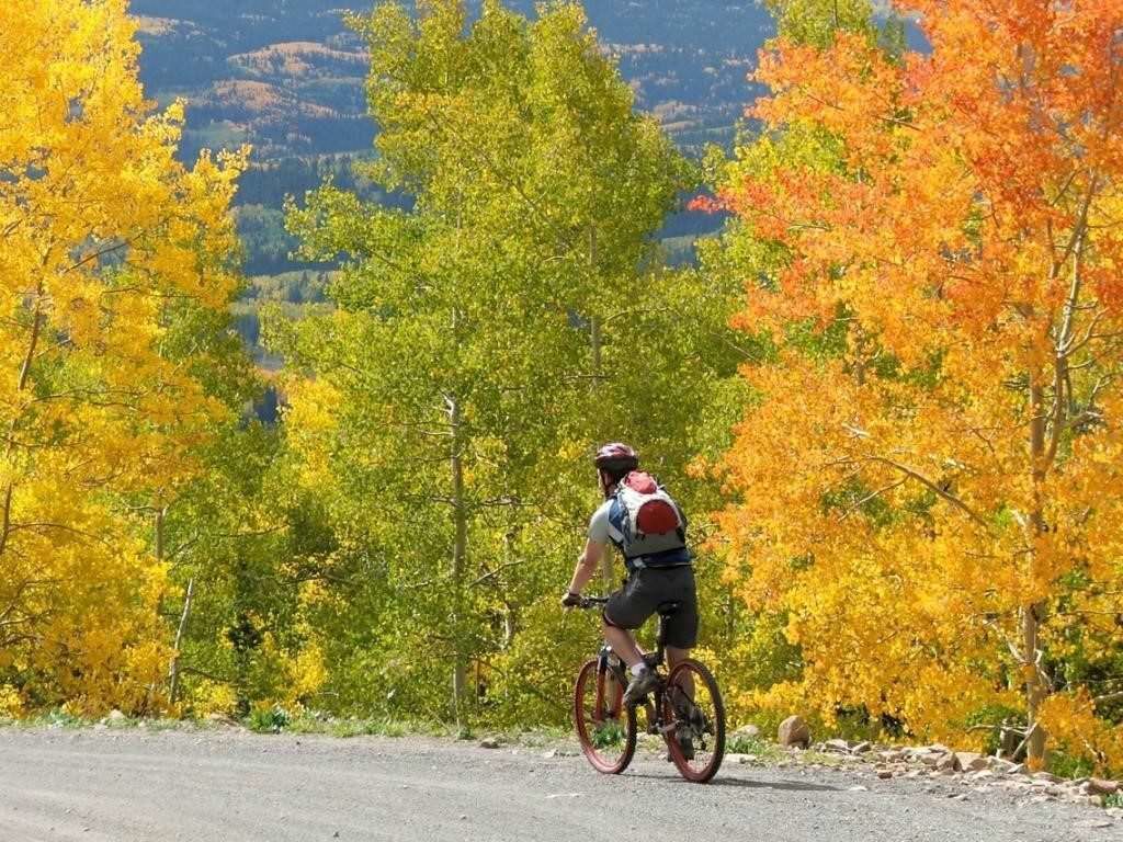 5 Scenic Drives in the Pikes Peak Region