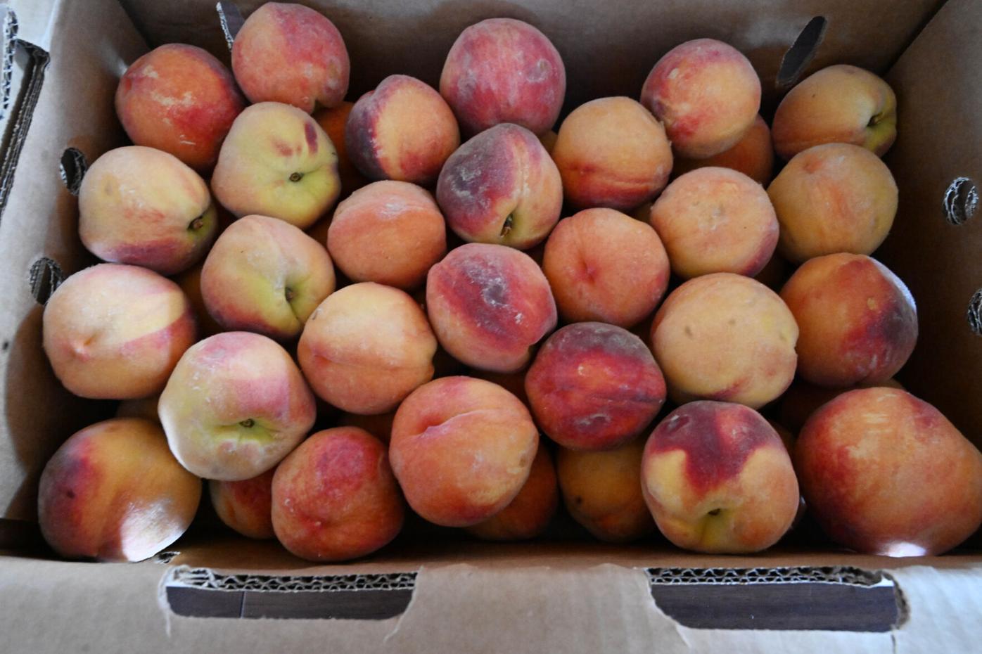 073123-news-peaches 03.JPG