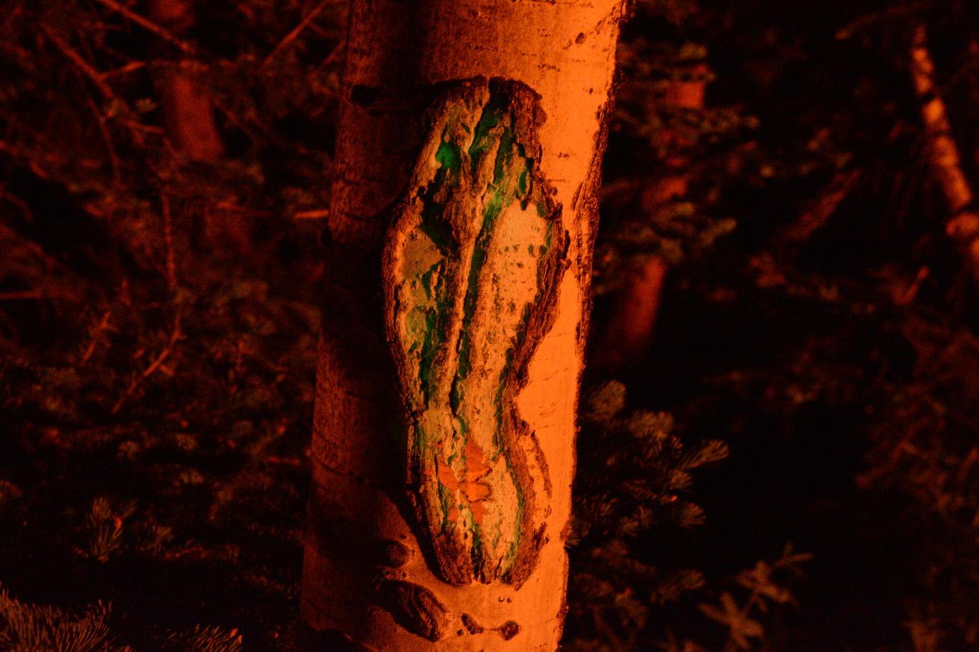 ABL_0315.jpg