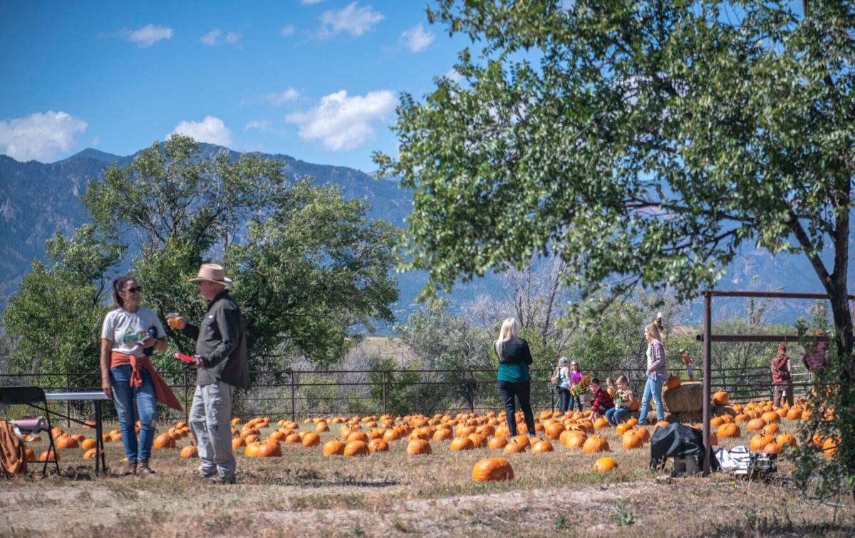 10012023-venetuccifarmspumpkinfest-1.JPG