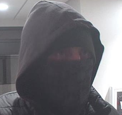 Penguin Bandit