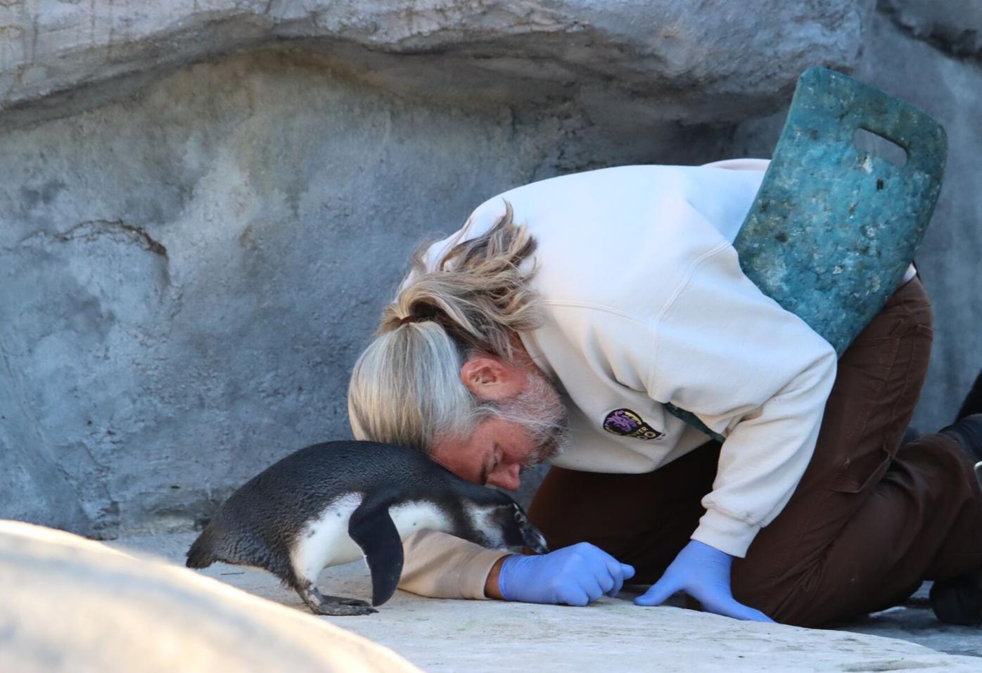 Denver Zoo earns American Humane Certification