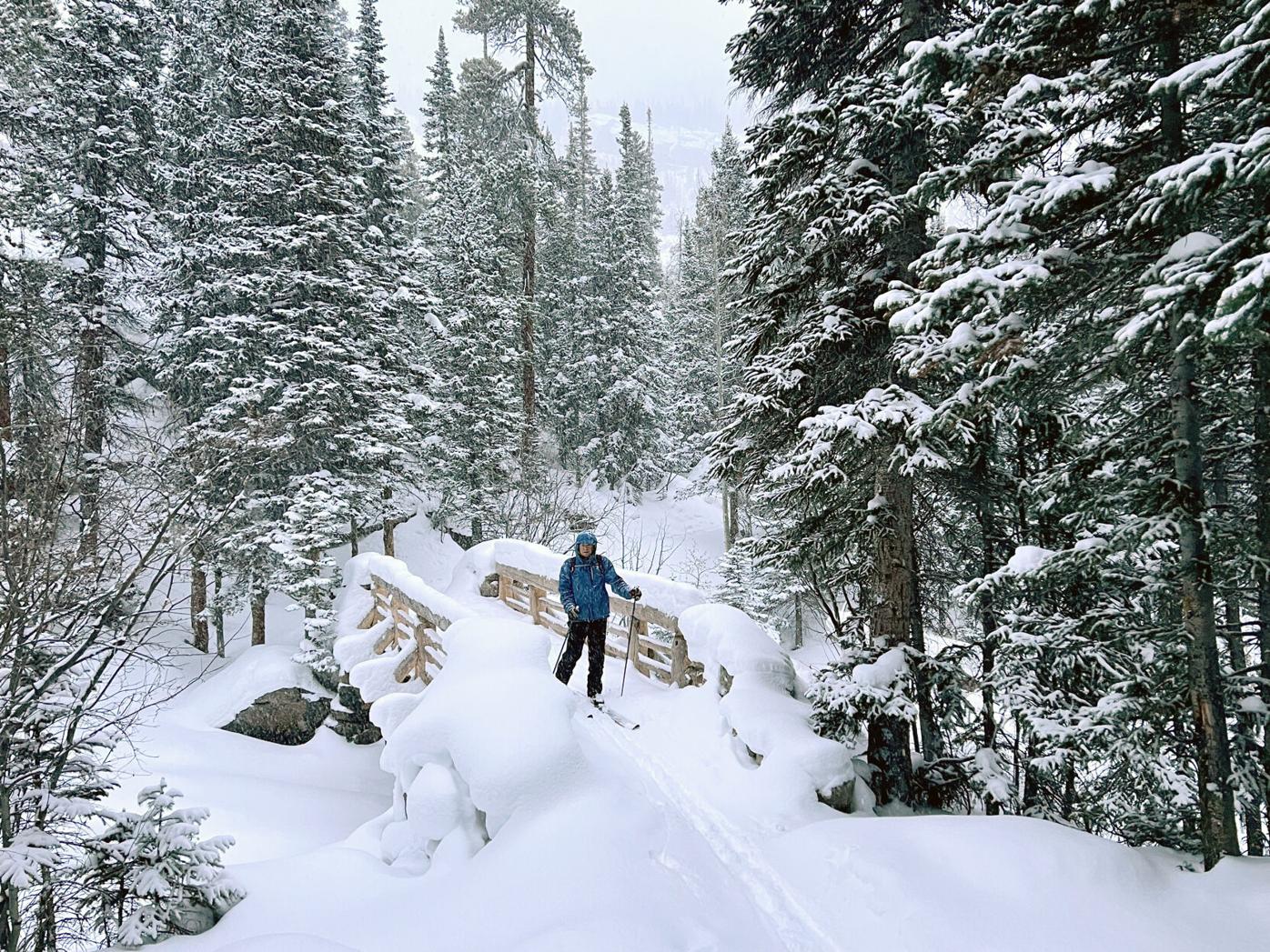 Cross-country skiing in Rocky Mountain National Park