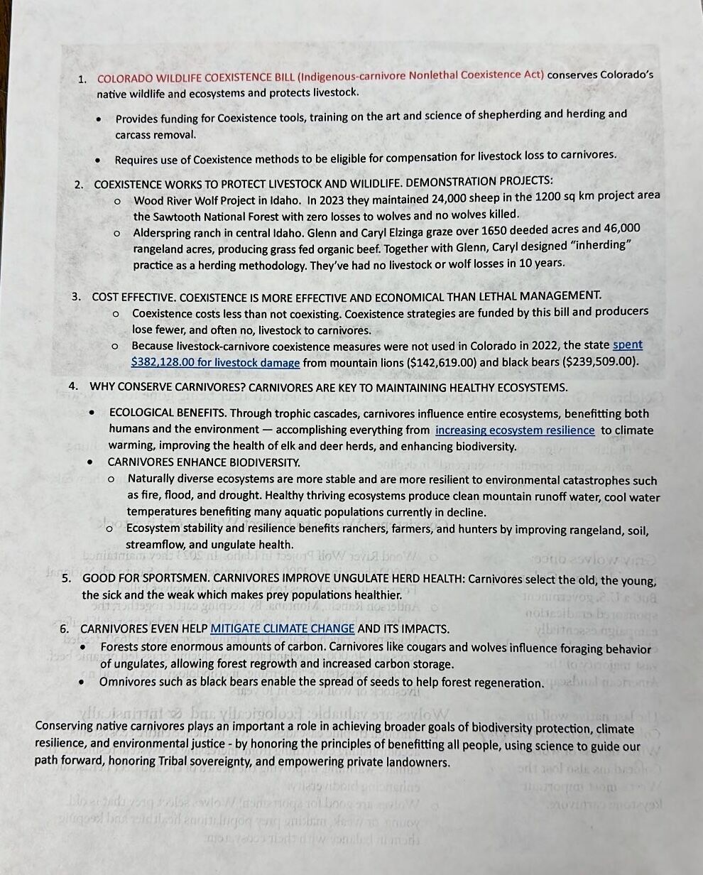 Wolf Flyer 2.jpg