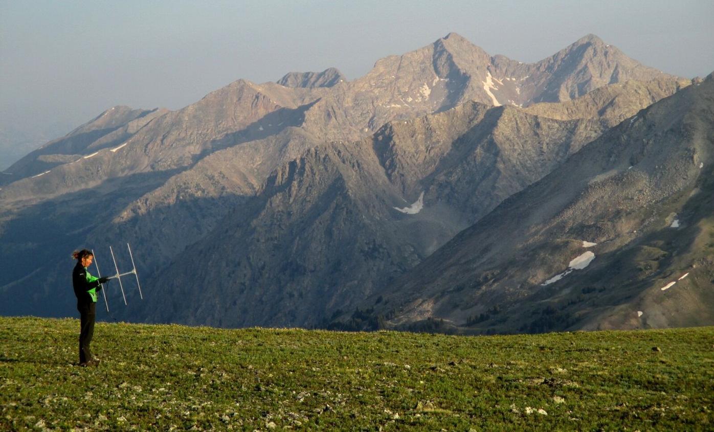 ptarmigan research.jpg