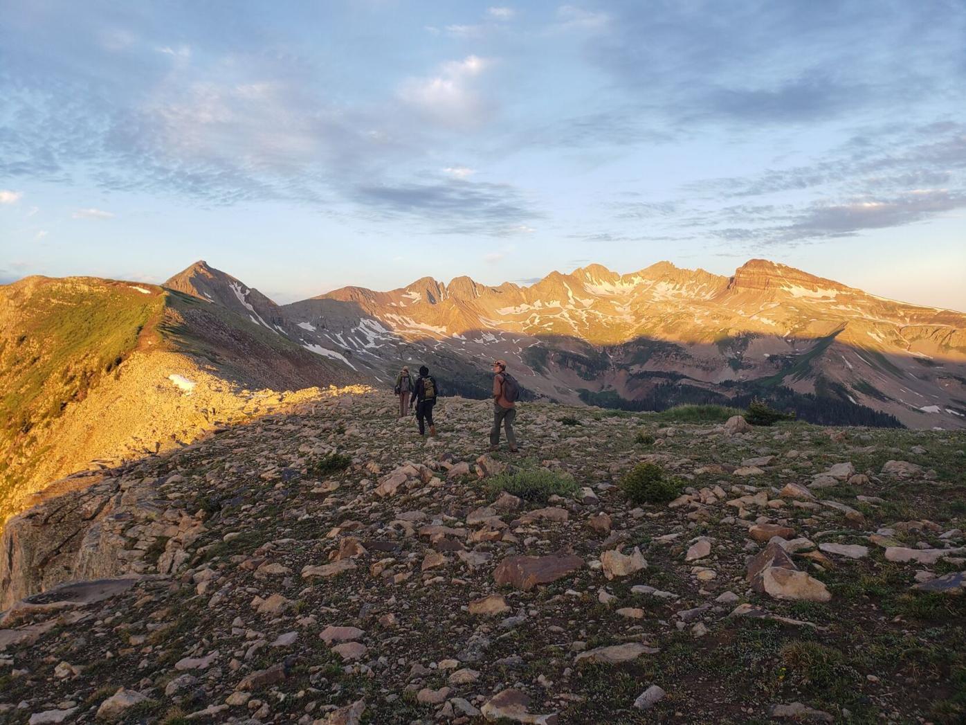ptarmigan surveys.jpg