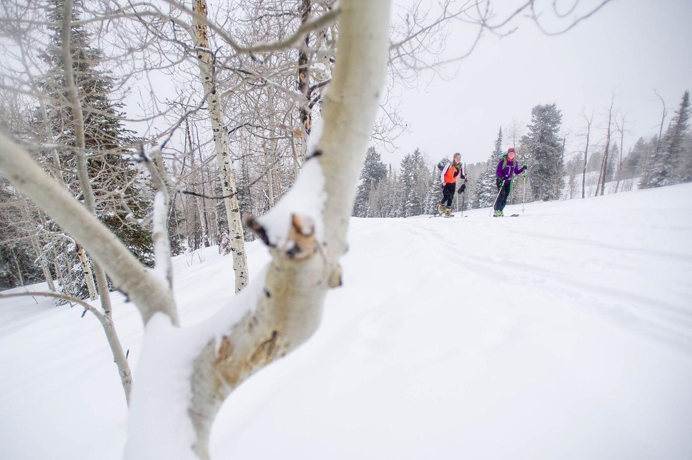 aspen uphill skiing