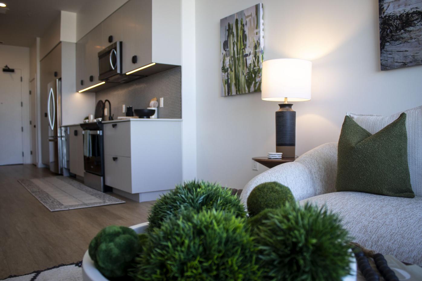 020725-dg-biz-art-apartment_4.jpg