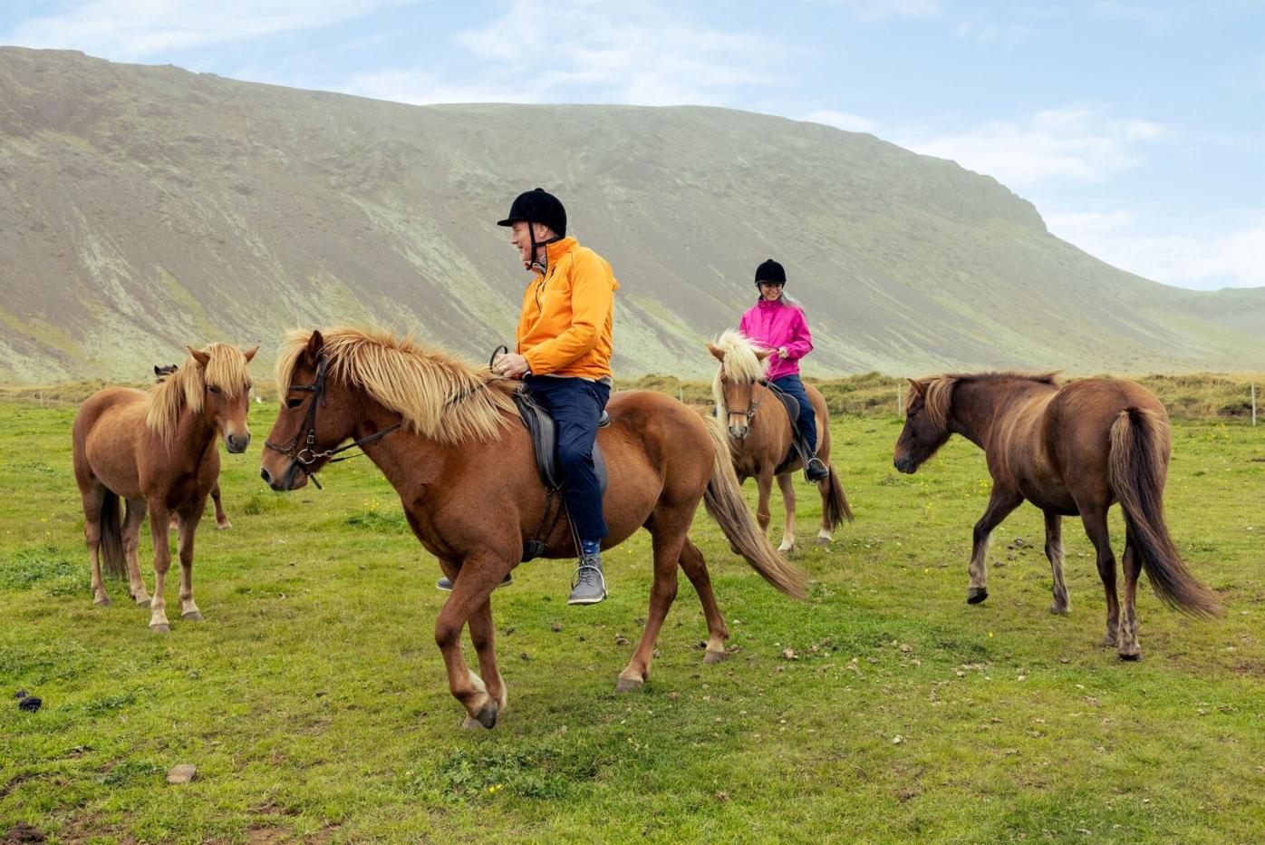 Horses - Eurpoe - Iceland