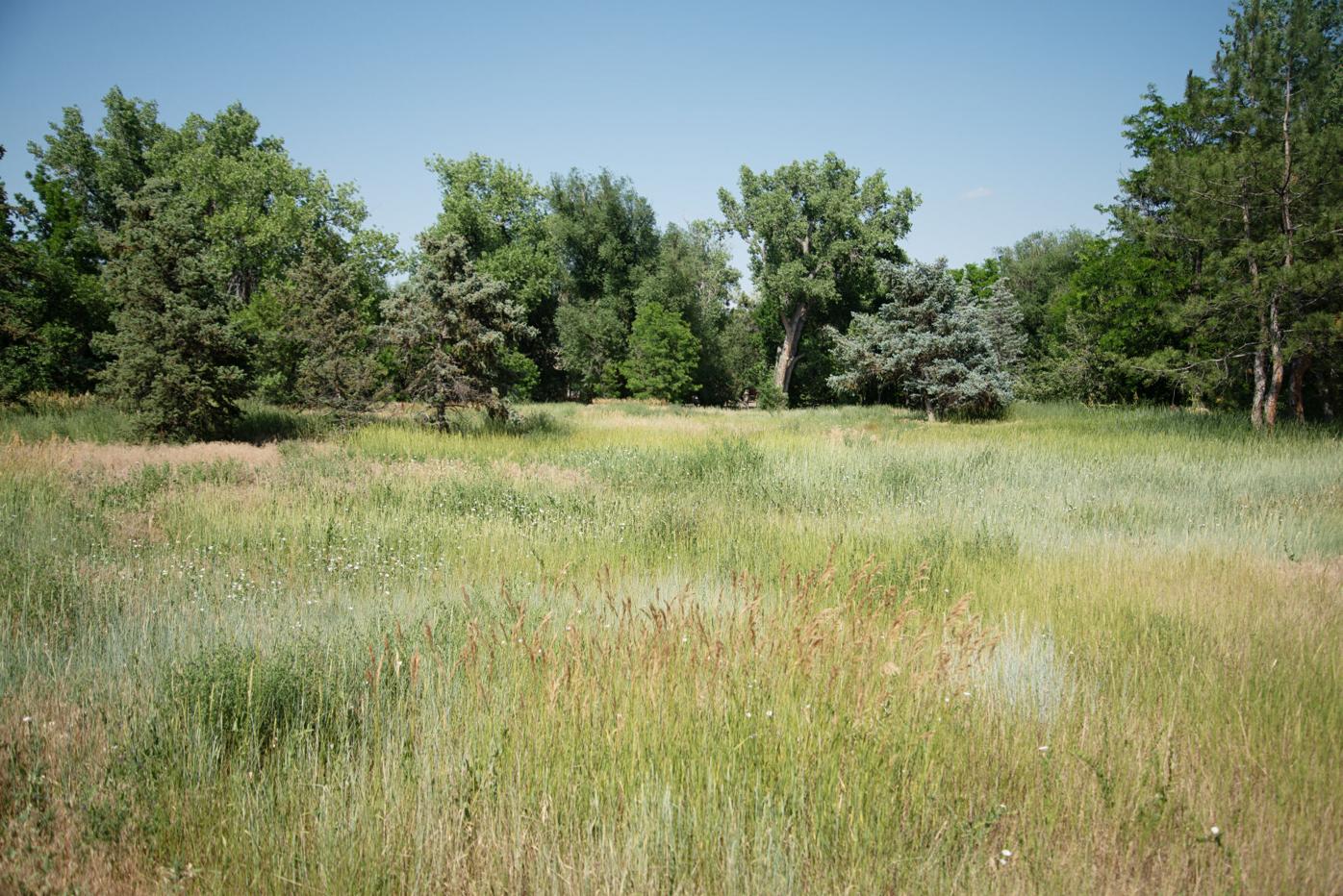 David Tschetter aims to build more than 20 homes on his sprawling Christensen Lane property