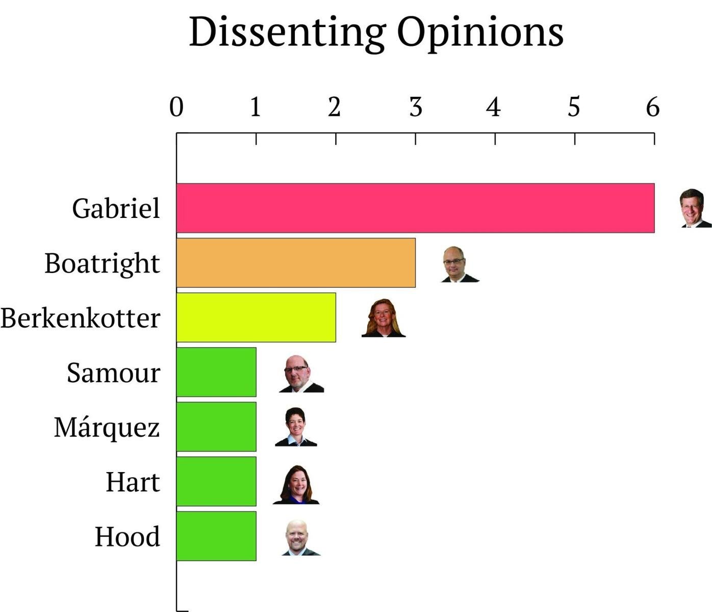 Dissenting opinions 2025