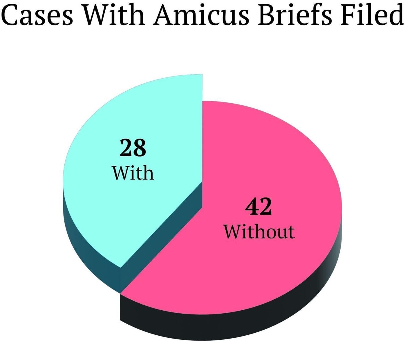 Amicus briefs 2025