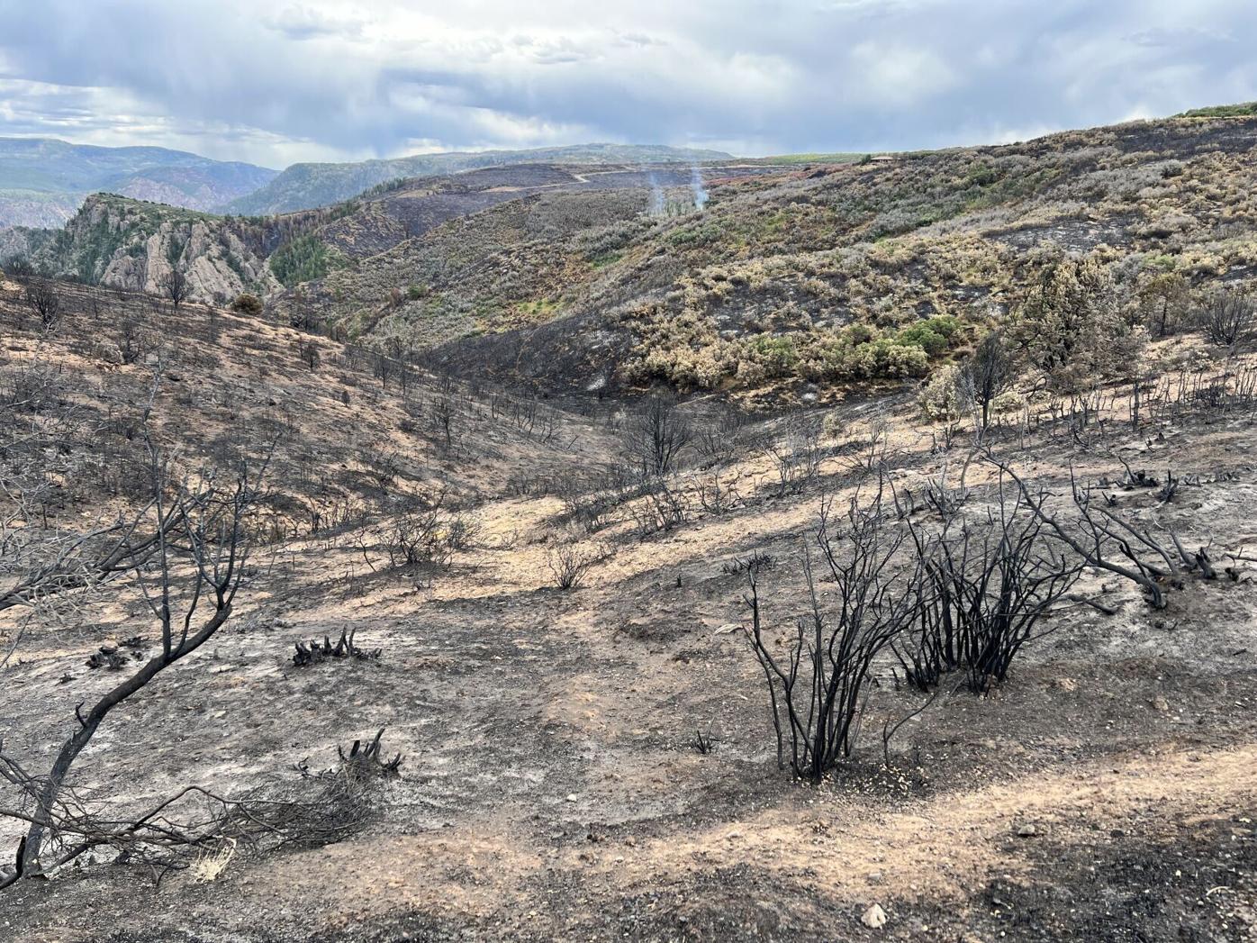 SouthRimfire.JPG
